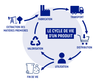 Cycle Economique